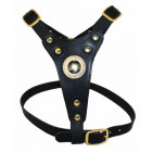 310-BLACK
